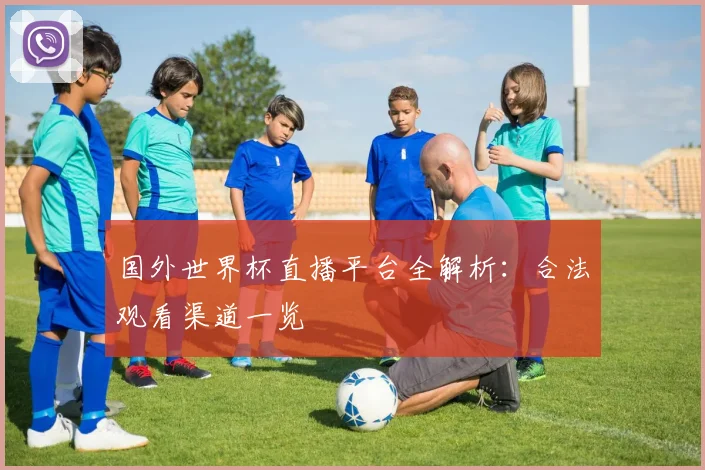 国外世界杯直播平台全解析:合法观看渠道一览