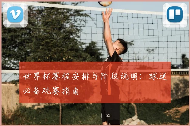 世界杯赛程安排与阶段说明：球迷必备观赛指南