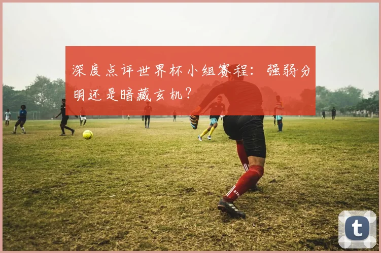 深度点评世界杯小组赛程:强弱分明还是暗藏玄机?