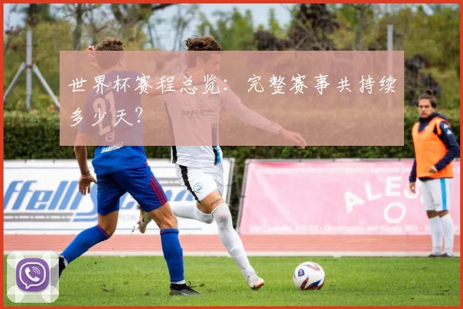 世界杯赛程总览：完整赛事共持续多少天？