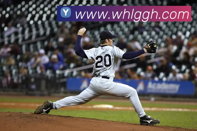 星空体育中国官方网站平台生态图